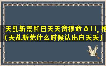 天乩斩荒和白夭夭贪狼命 🌸 格（天乩斩荒什么时候认出白夭夭）